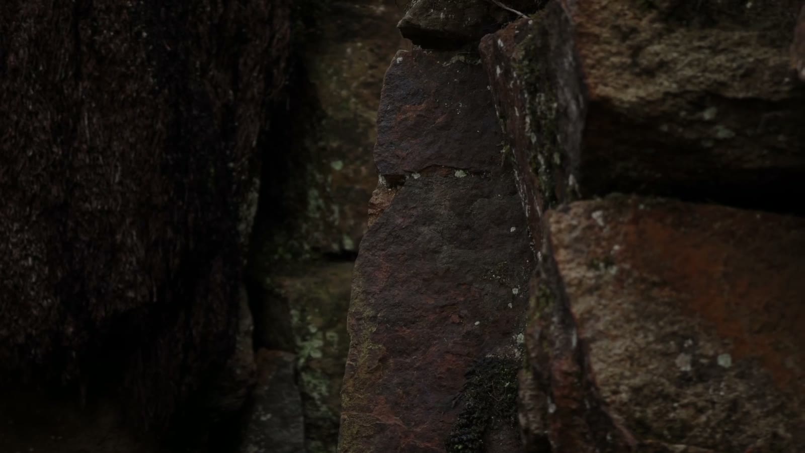 Cinematic still from The Difference — mid-act portrait