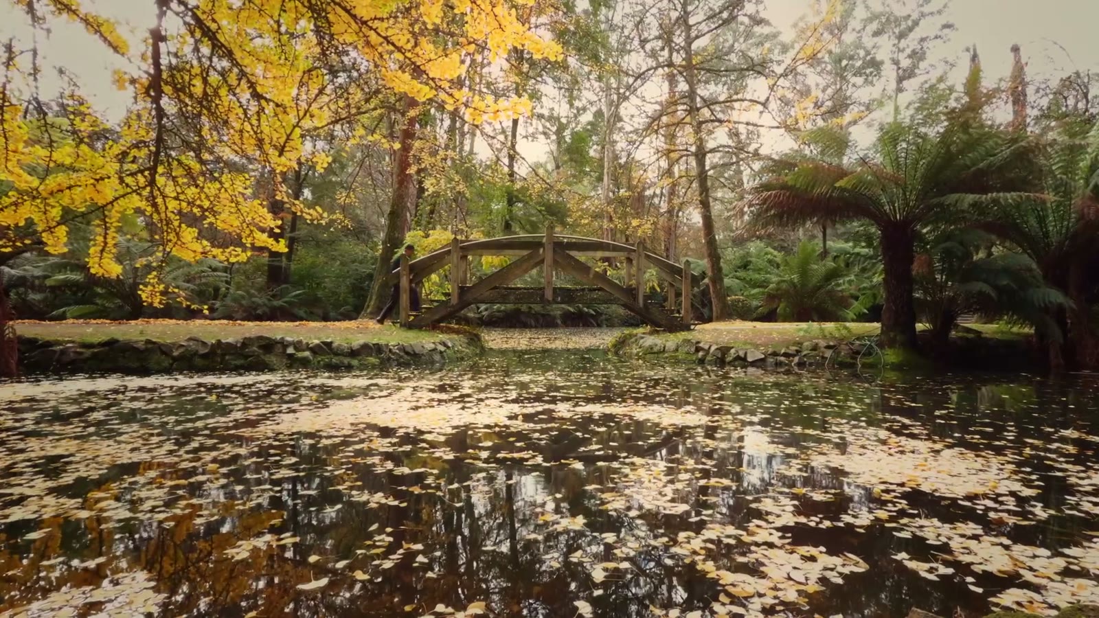 Cinematic still from The Difference — atmospheric wide
